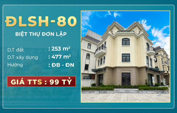 ĐLSH-80